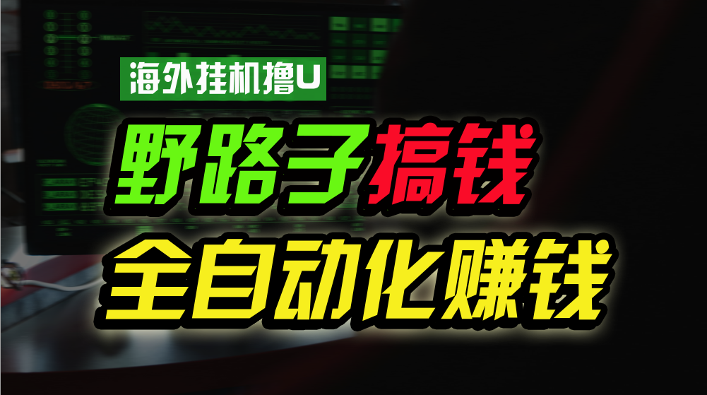 国外放置挂机撸U新渠道，日赚8-15美金，全过程无人化，可大批量变大，个人工作室…-课程网