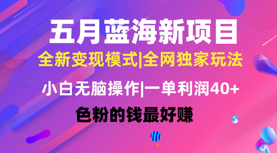 五月蓝海项目全新玩法，新手没脑子实际操作，一天数分钟，引流矩阵实际操作，月入4万-课程网