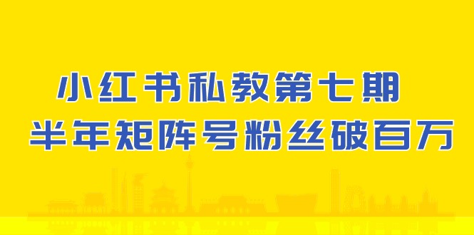 (10650期）小红书的-私人教练第七期，小红书的90天增粉18w，1周增粉过万 大半年矩阵账号粉丝们破百万-课程网