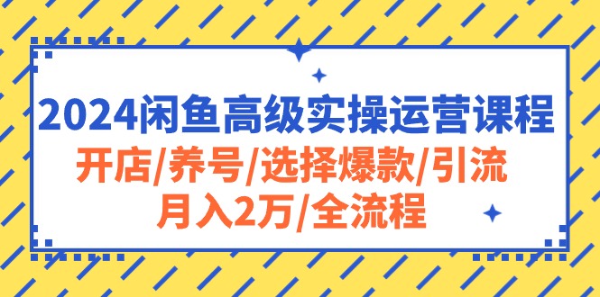 2024闲鱼平台高端实际操作营销课程：开实体店/起号/挑选爆品/引流方法/月入2万/全过程-课程网