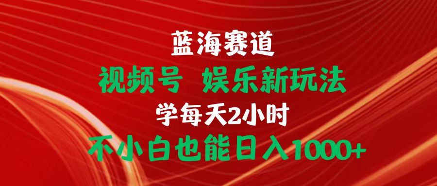 蓝海赛道视频号 娱乐新玩法每天2小时小白也能日入1000+-课程网