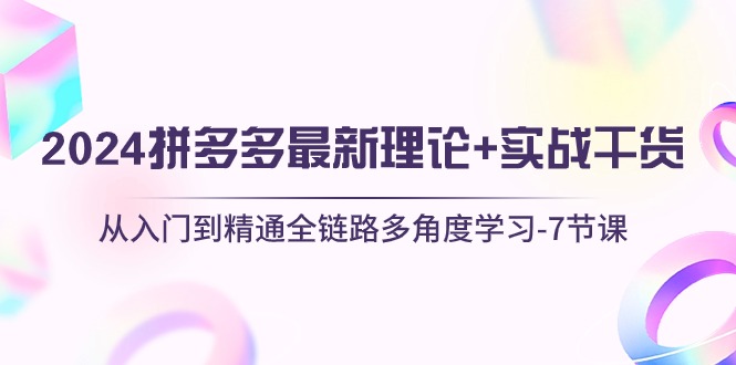 2024拼多多 最新理论+实战干货，从入门到精通全链路多角度学习-7节课-课程网