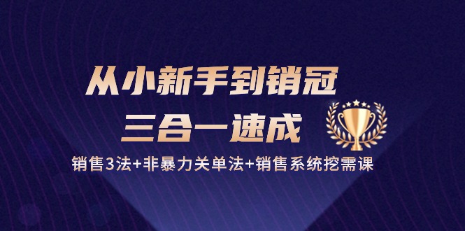 从小新手到销冠 三合一速成：销售3法+非暴力关单法+销售系统挖需课 (27节)-课程网