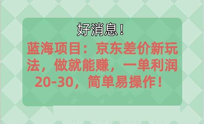 越快了解越有钱赚的蓝海项目：京东大平台操作，一单利润20-30，简易…-课程网