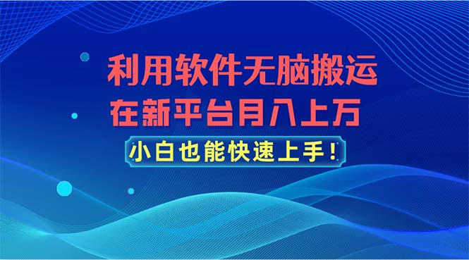 利用软件无脑搬运，在新平台月入上万，小白也能快速上手-课程网