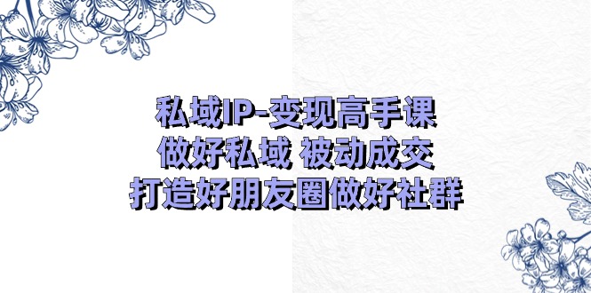 私域IP-变现高手课：做好私域 被动成交，打造好朋友圈做好社群-课程网