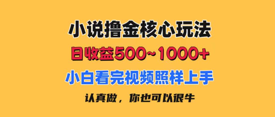 小说撸金核心玩法，日收益500-1000+，小白看完照样上手，0成本有手就行-课程网