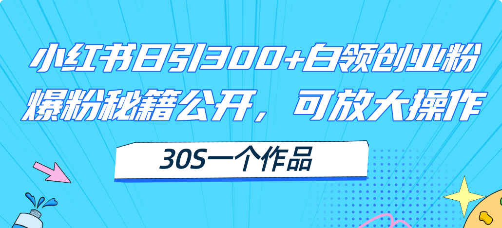 小红书日引300+高质白领创业粉，可放大操作，爆粉秘籍！30s一个作品-课程网