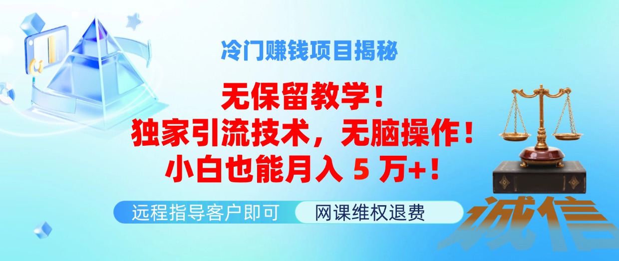 冷门赚钱项目无保留教学！独家引流技术，无脑操作！小白也能月入5万+！-课程网