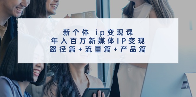 新个体 ip变现课，年入百万新媒体IP变现，路径篇+流量篇+产品篇-课程网