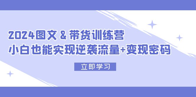 2024 图文+带货训练营，小白也能实现逆袭流量+变现密码-课程网