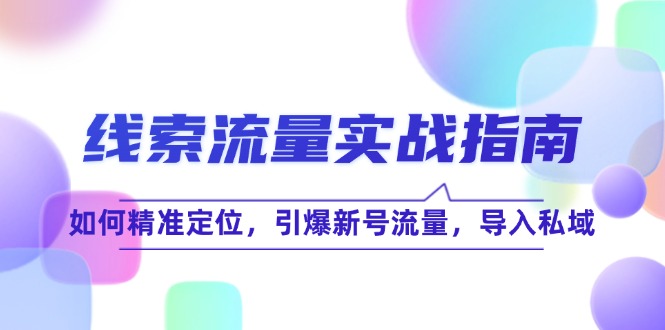 线 索 流 量-实战指南：如何精准定位，引爆新号流量，导入私域-课程网