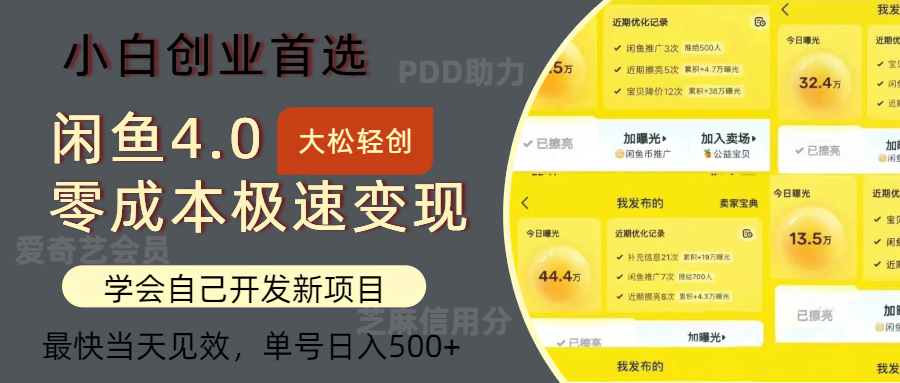 闲鱼0成本极速变现项目，多种变现方式 单号日入500+最新玩法-课程网