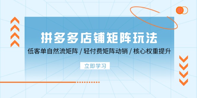 拼多多店铺矩阵玩法：低客单自然流矩阵 / 轻付费矩阵 动销 / 核心权重提升-课程网