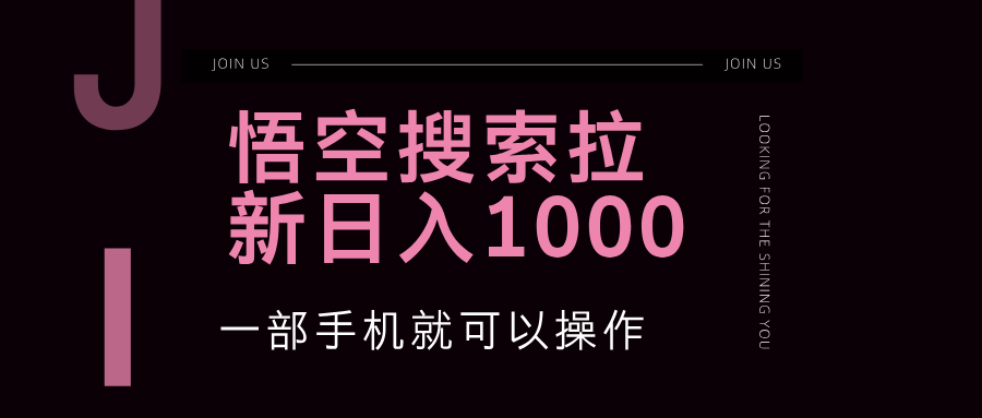 悟空搜索类拉新 蓝海项目 一部手机就可以操作 教程非常详细-课程网