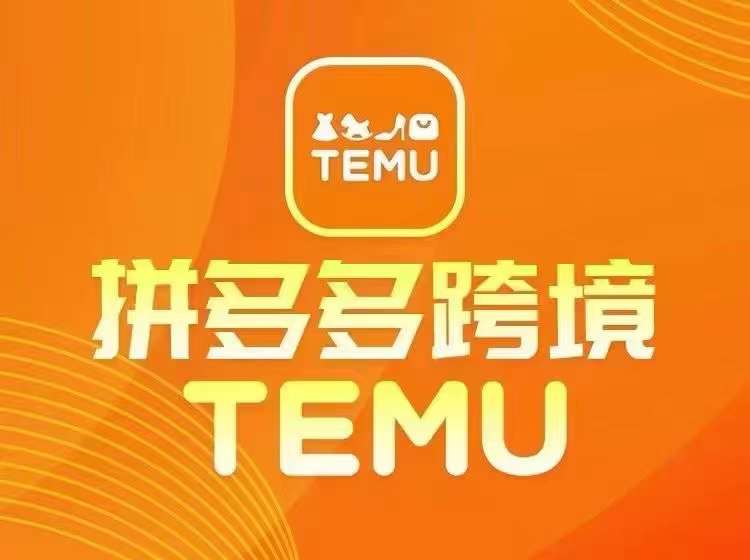 全新TEMU拼多多平台跨境电商实例教程，开实体店、经营、选款-课程网