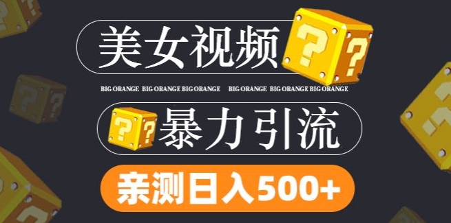 搬运tk美女视频全网分发，日引s粉300+，轻松变现，不限流量不封号【揭秘】-课程网