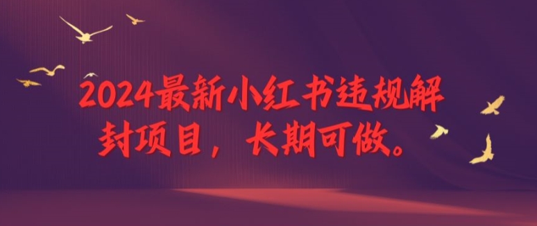 2024全新小红书违规解除限制新项目，长期性能做，一个能做到退休新项目【揭密】-课程网