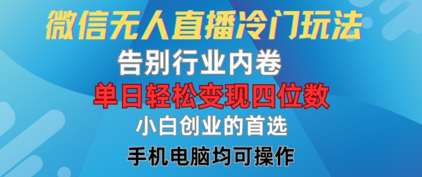 微信无人在线小众游戏玩法，道别业内卷，单日轻轻松松转现四位数，新手的自主创业优选【揭密】-课程网