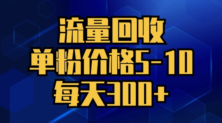 总流量回收利用，单粉价钱5-10，每日300 ，轻轻松松月入五位数-课程网