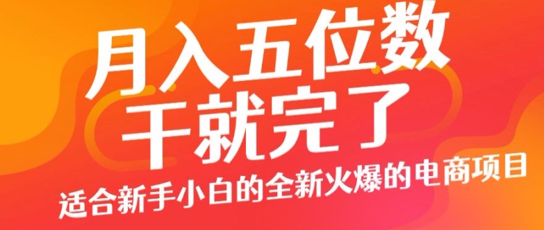 月入五位数，干就完了， 适宜新手入门一个全新的火热的电商项目-课程网