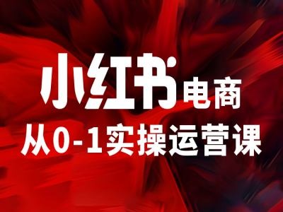 小红书电商从0-1实际操作运营课，使你从小白到精锐-课程网