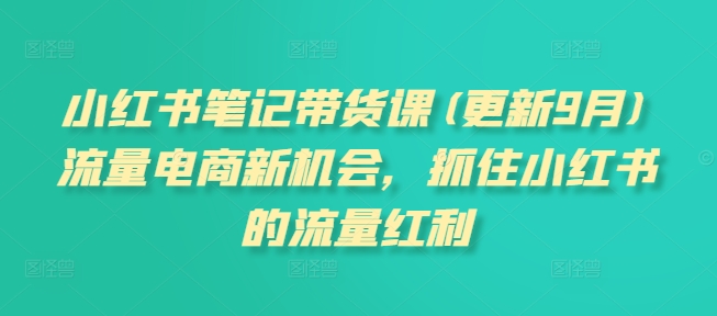 小红书笔记带货课(更新9月)流量电商新机会，抓住小红书的流量红利-课程网