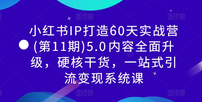 小红书IP打造60天实战营(第11期)5.0​内容全面升级，硬核干货，一站式引流变现系统课-课程网