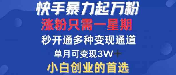 快手暴力起万粉，涨粉只需一星期，多种变现模式，直接秒开万合，单月变现过W【揭秘】-课程网