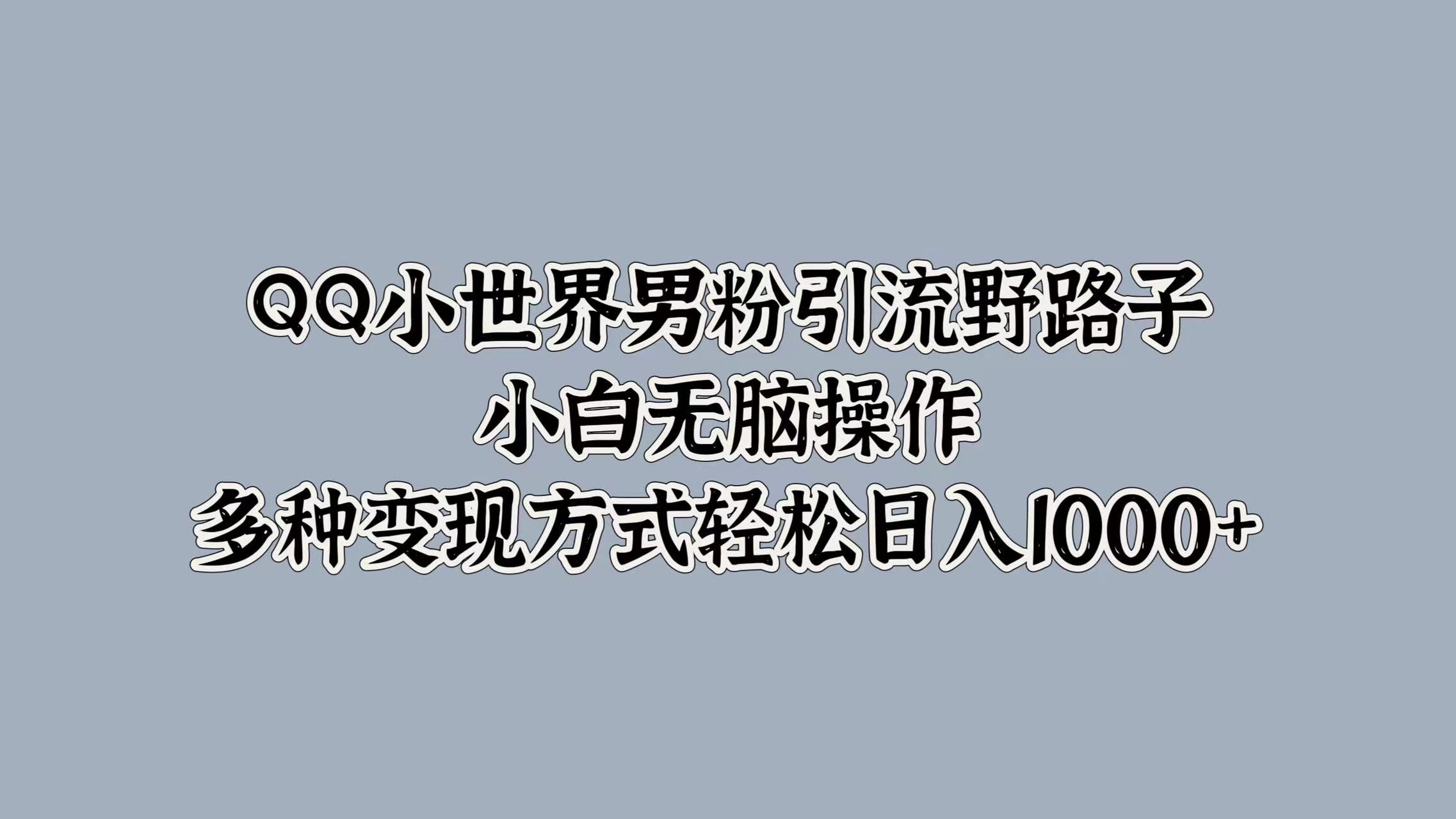 QQ小世界男粉引流野路子，小白无脑操作，多种变现方式-课程网