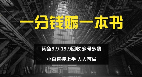 一分钱薅一本书 闲鱼9.9-19.9回收 多号多薅 小白直接上手-课程网