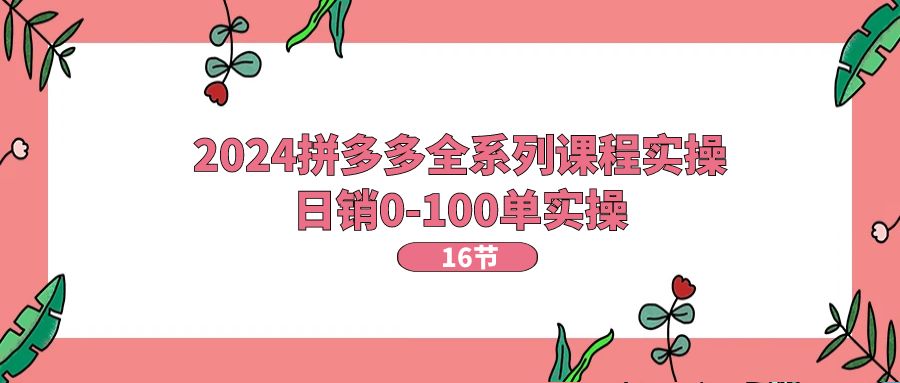 2024拼多多平台全主题课程实际操作，日销0-100单实际操作【16堂课】-课程网