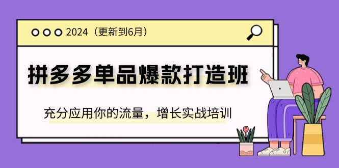 2024拼多多单品爆款打造班，充分应用你的流量，增长实战培训(更新6月)-课程网