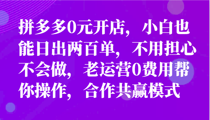 全新拼多多平台优质企业新手褔利，二天销售量过百单，不要钱、老经营代实际操作-课程网