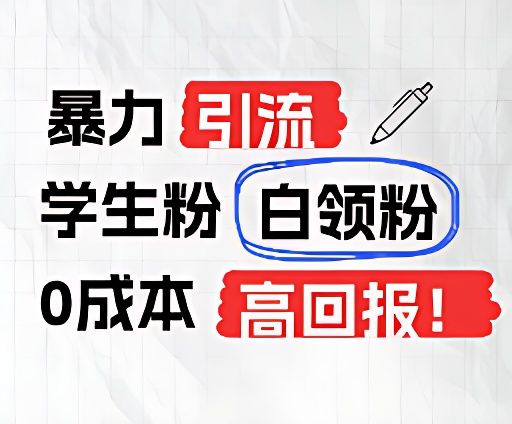 暴力行为引流方法学生们粉上班族粉，完爆过去废弃物游戏玩法，0成本费，高收益-课程网