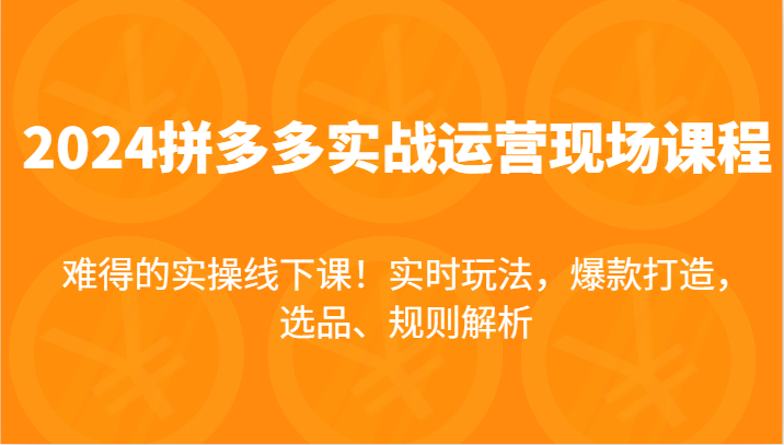 2024拼多多平台实战演练经营当场课，即时游戏玩法，爆款打造，选款、标准分析，不可多得的实际操作面授课！-课程网