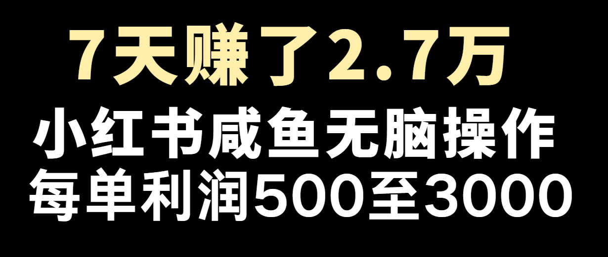 七天挣了2.7万！每单利润至少500 ，轻轻松松月入5万 新手有手就行-课程网