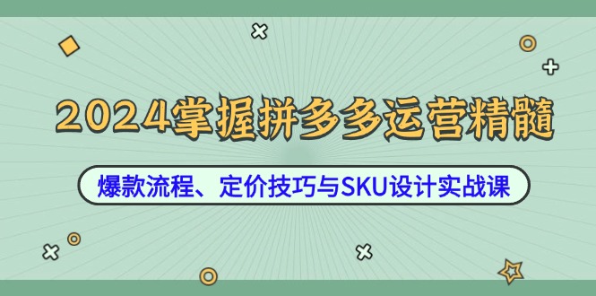 2024掌握拼多多运营精髓：爆款流程、定价技巧与SKU设计实战课-课程网