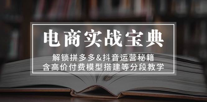 电子商务实战演练秘笈：开启拼多多平台&自媒体运营秘笈，含高价位付钱模型搭建等按段课堂教学-课程网