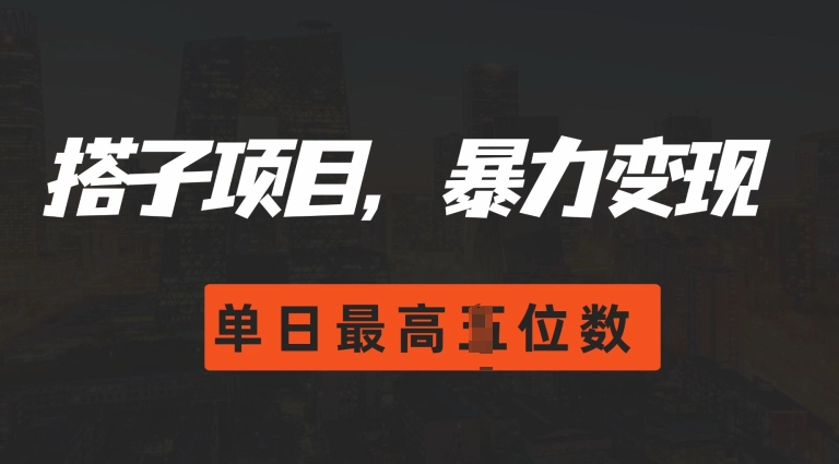 2024搭子玩法，0门槛，暴力变现，单日最高破四位数【揭秘】-课程网