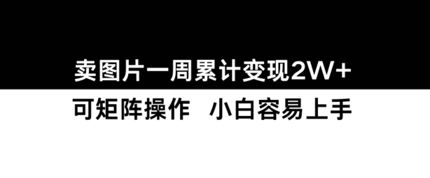 小红书【卖图片】一周累计变现2W+小白易上手-课程网