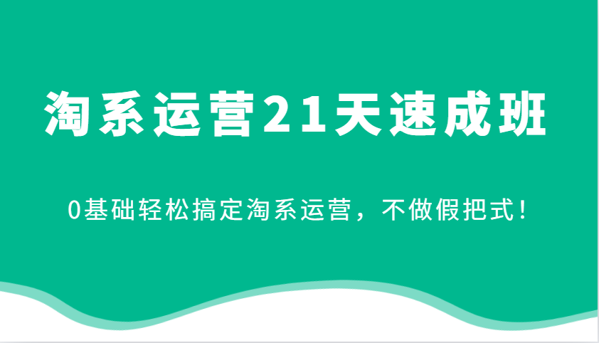 淘系运营21天速成班，0基础轻松搞定淘系运营，不做假把式！-课程网