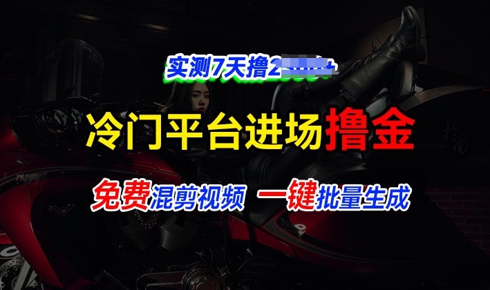 全新冷门平台视频，快速免费进场搞米，通过混剪视频一键批量生成，实测7天撸上千-课程网