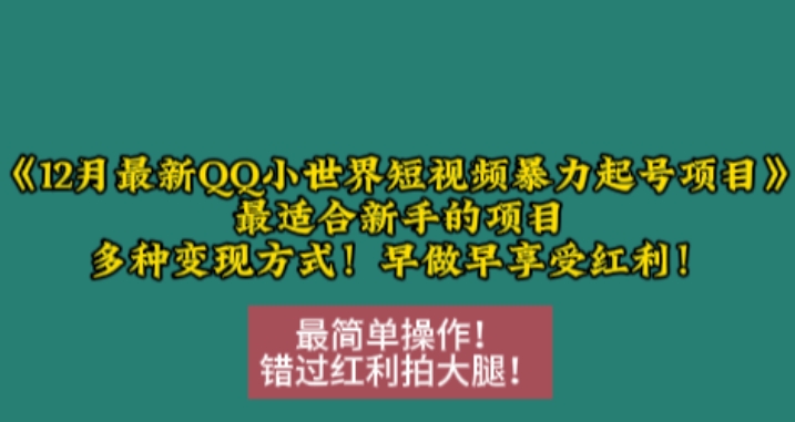 12月最新QQ小世界短视频暴力起号项目，最适合新手的项目，多种变现方式-课程网