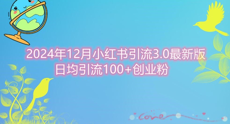 2024年12月小红书引流最新版，日均引流100+创业粉-课程网