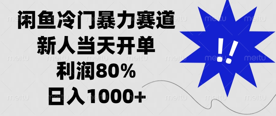 闲鱼冷门暴力赛道，新人当天开单，利润80%，日入1000+-课程网