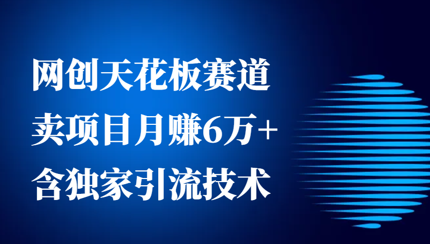 网创天花板赛道，卖项目月赚6万+，含独家引流技术-课程网