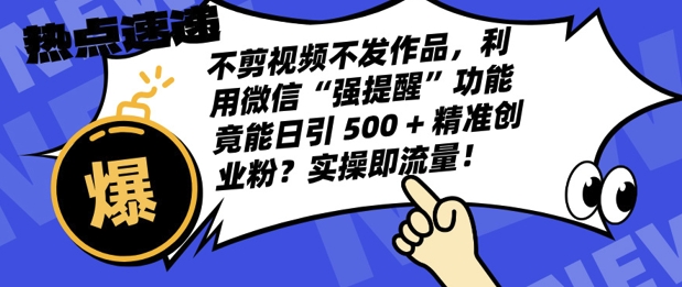 不剪视频不发作品，视频号私信日引 500 + 精准创业粉?实操即流量!-课程网