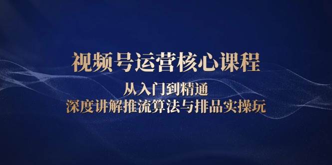 视频号运营核心课程，从入门到精通，深度讲解推流算法与排品实操玩-课程网