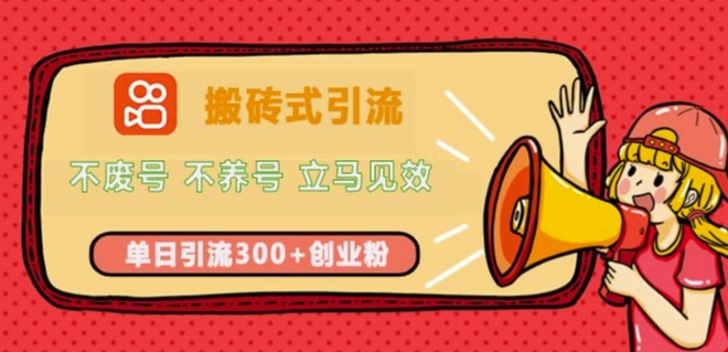 快手搬砖式引流，不废号，不养号，立马见效，单日引流300+精准创业粉-课程网